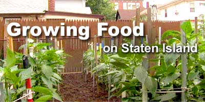 Jay Weichun movie: Growing Food on Staten Island