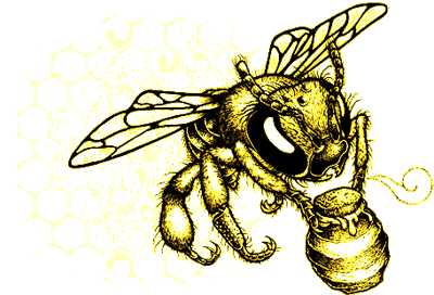 Beehive Collective