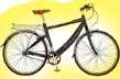 Bicucle transportation alternatives staten island