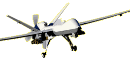 Immigration drone