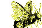 flying friend