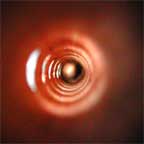 Flute interior: silverlake Flute Circle