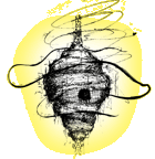 Honey Spine