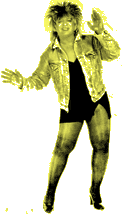 Ron B as Tina Turner